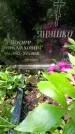 Захоронение ID 1371872