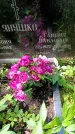 Захоронение ID 1371873