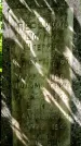 Захоронение ID 1371886