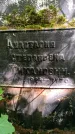 Захоронение ID 1372066