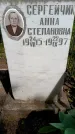 Захоронение ID 1372086