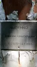 Захоронение ID 1372120