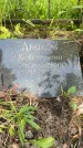 Захоронение ID 1372254