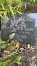 Захоронение ID 1372259