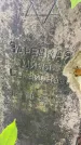 Захоронение ID 1372261