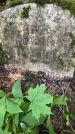 Захоронение ID 1372370