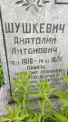 Захоронение ID 1372375