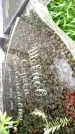 Захоронение ID 1372502
