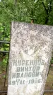 Захоронение ID 1372528