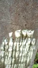 Захоронение ID 1372545