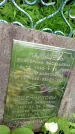 Захоронение ID 1372566