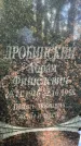 Захоронение ID 1372637