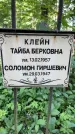 Захоронение ID 1372863