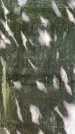 Захоронение ID 1372693