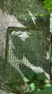 Захоронение ID 1372774