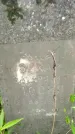 Захоронение ID 1372975