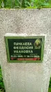 Захоронение ID 1372983