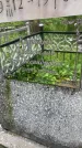 Захоронение ID 1622473