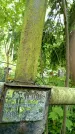 Захоронение ID 1840077