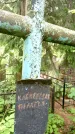 Захоронение ID 2004234