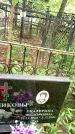 Захоронение ID 2005443