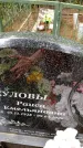 Захоронение ID 2041903