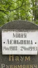 Захоронение ID 2090386