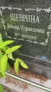 Захоронение ID 2094032