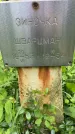Захоронение ID 2094033