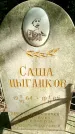 Захоронение ID 2383374