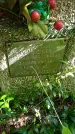 Захоронение ID 2391904