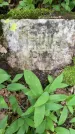 Захоронение ID 2644185