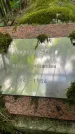 Захоронение ID 2695208