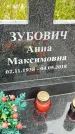 Захоронение ID 2719024