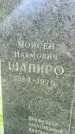 Захоронение ID 3091676
