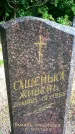 Захоронение ID 3117799