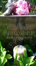 Захоронение ID 3117813