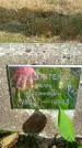Захоронение ID 3117832
