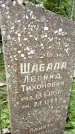 Захоронение ID 3117849