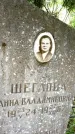 Захоронение ID 3117865