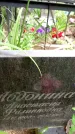 Захоронение ID 3117867