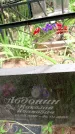 Захоронение ID 3117868