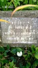 Захоронение ID 3117906