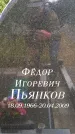 Захоронение ID 3117941