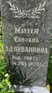 Захоронение ID 3117942