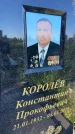 Захоронение ID 3118019