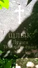 Захоронение ID 3118119