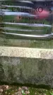 Захоронение ID 3118157