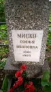 Захоронение ID 3118180