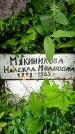 Захоронение ID 3118192